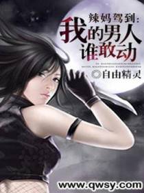 辣妈驾到：我的男人谁敢动