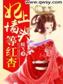 妃上墙头等红杏