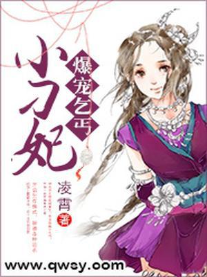 爆宠乞丐小刁妃