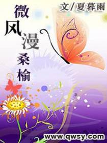 微风漫桑榆