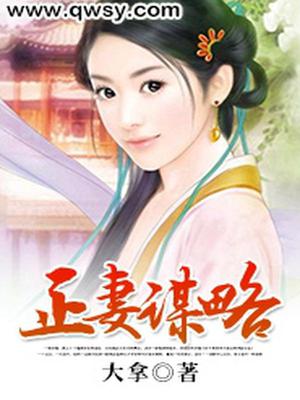 正妻谋略