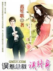 误惹总裁误终身