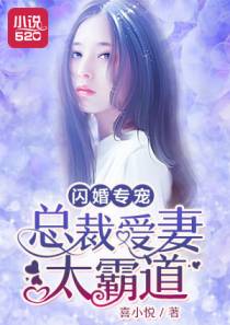 闪婚专宠：总裁爱妻太霸道