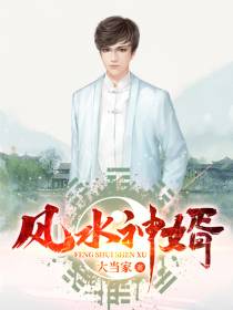 风水神婿佐道