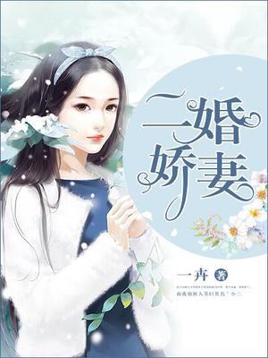 二婚娇妻