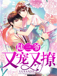 顾绾绾陆骁