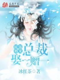 暖婚强宠：总裁娶一赠一