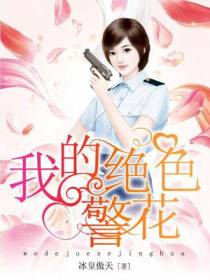 我的绝色警花