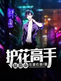 护花高手混都市