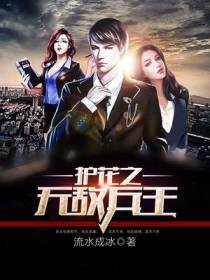 护花之无敌兵王