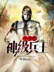 神级兵王叶云龙