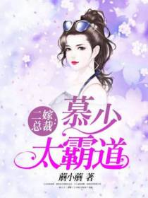 二嫁总裁：慕少太霸道