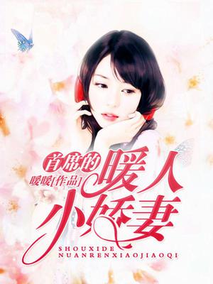 郑小暖封以辰