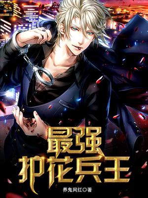 最强护花兵王江枫