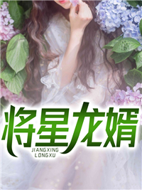 将星龙婿
