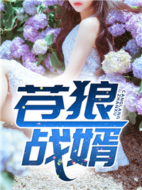秦展风夏惜月