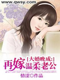 大婚晚成：再嫁温柔老公