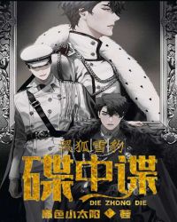 [黑狐/雪豹]碟中谍