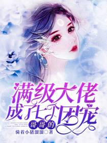 云空流赫连城