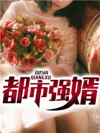 都市强婿