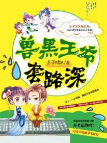 君轻暖慕容骋