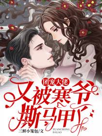 夏锦眠夜陌寒
