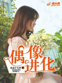 偶像进化