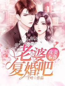 攻妻不备：老婆，复婚吧