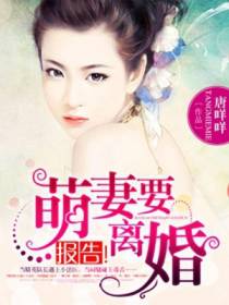 顾行歌叶锦言