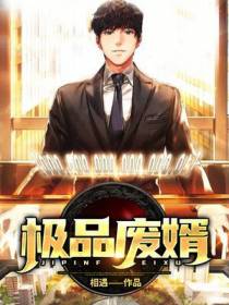 极品废婿