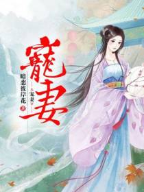 宠妻沈琪