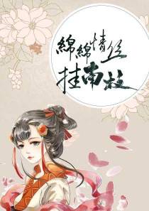沈南枝沈柏寒