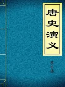 唐史演义