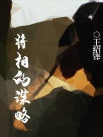 将相的谋略