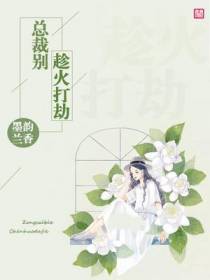 总裁别趁火打劫