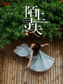 陌上寻夫