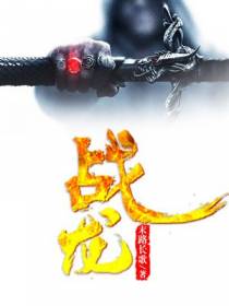 战龙叶枫