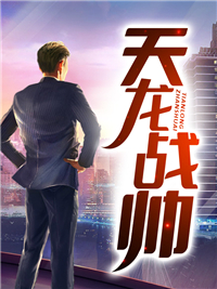 天龙战帅