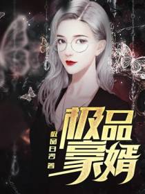 极品豪婿
