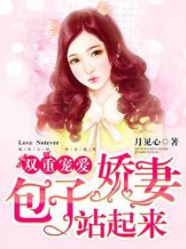 双重宠爱：包子娇妻站起来