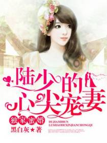 莫暖陆琛