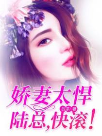 陆毅晟乔安好