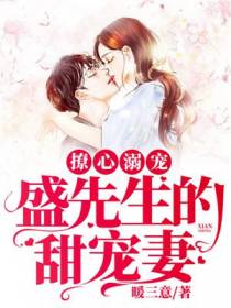 盛凌傲安雨初
