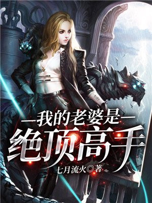 我的老婆是绝顶高手江帆