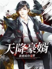 天降豪婿杜晨