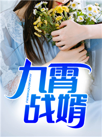 九霄战婿