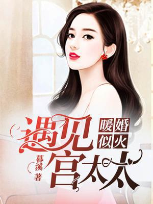 暖婚似火宫北寒白忆暖