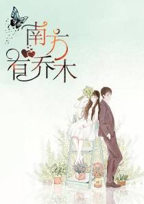 南方有乔木乔妤陆南城