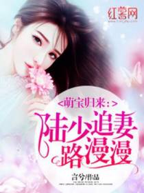 萌宝归来：陆少追妻路漫漫