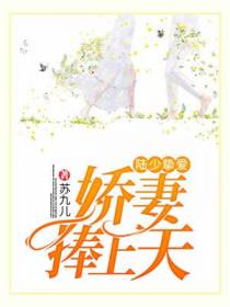 沈清歌陆承云